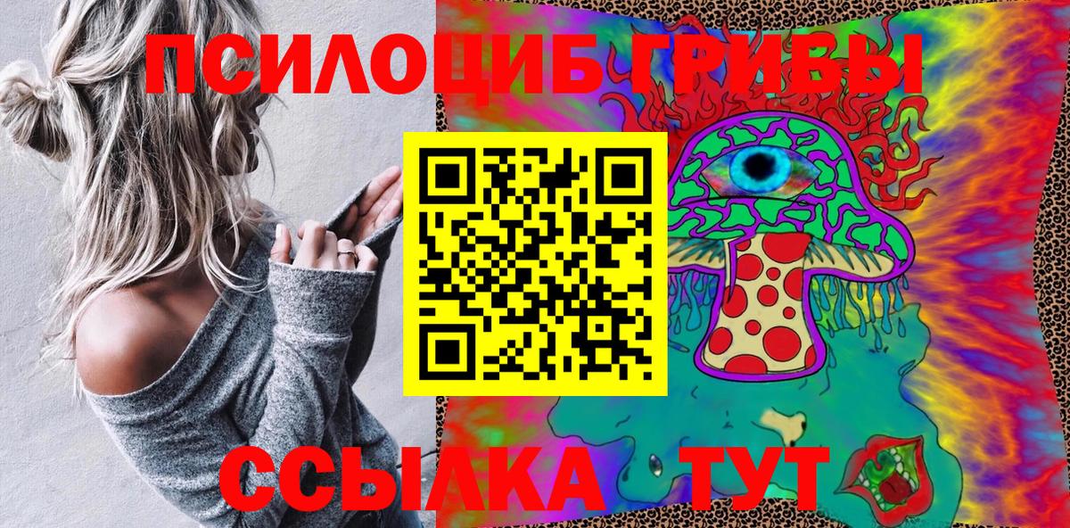 хочу   Галлюциногенные грибы Magic Shrooms  Вход с VPN  Галлюциногенные грибы MAGIC MUSHROOMS  Сокол 
